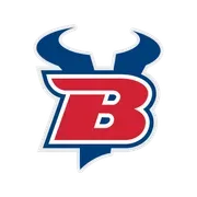 Bigfork School District 38 logo