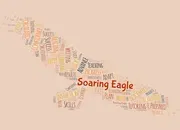 Soaring Eagle Educational Center logo