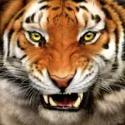 Tonasket High School logo