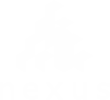 Nexus School logo