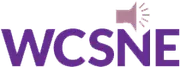 WCSNE - World Congress on Special Needs Education logo