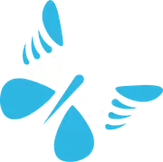 Access For Autism Inc. logo