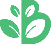 Beech Academy logo
