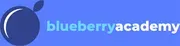 Blueberry Academy logo