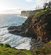 Hawaii Island Retreat logo