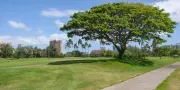 Honolulu Country Club image 4