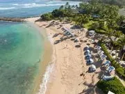 Turtle Bay Resort logo