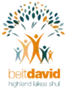 Highland Lakes Synagogues logo