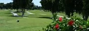 Hibiscus Golf Club logo
