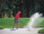 Wilderness Country Club image 3