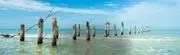 Fort Myers Beach Chamber image 2