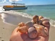 Adventures In Paradise image 3
