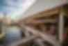 Two  Georges Waterfront Grille image 4