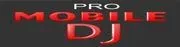 DJ Riptide logo
