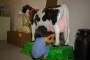 Children's Museum of the Highlands image 2