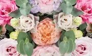 Absolutely Beautiful Flowers logo