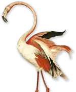 Caribe Royale Orlando logo