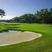 Country Club Of Orlando logo
