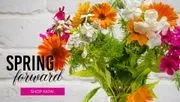 ARTISTIC EAST ORLANDO FLORIST logo