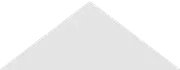 Veterans of Foreign Wars logo