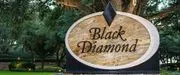 Black Diamond Club, Inc. image 4