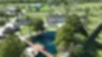 The Hidden Palms logo