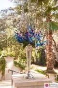 The Veranda image 2