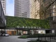 C. Baldwin, Curio Collection by Hilton image 2