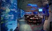 The Downtown Aquarium image 4