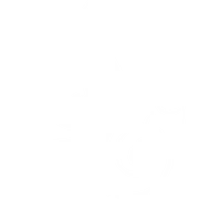 Stoney Creek Venue logo