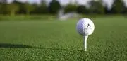 Pine Forest Country Club logo
