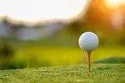 Raveneaux Country Club image 2