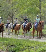 Diamond D Ranch image 2