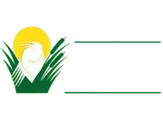 The Island logo