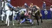 The Lone Star Convention & Expo Center image 2