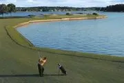 Walden Yacht Club image 2