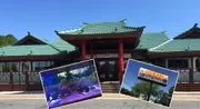 Ocean Buffet image 2