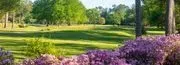 Oak Knoll Country Club logo