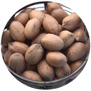 Royalty Pecan Farms image 2