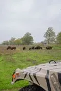 Moon River Ranch image 3