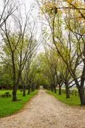 Moon River Ranch image 4