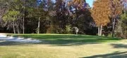 Headland Country Club logo