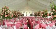 Tents & Events image 3