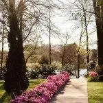 Tryphena's Garden image 4