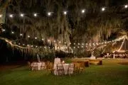 Wingate Plantation image 3