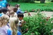 Texas Discovery Gardens image 2