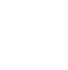 Champion Ball Room Academy logo