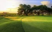 Charleston National Country Club Golf Pro Shop logo