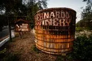 Bernardo Winery logo