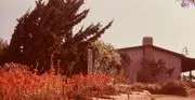 San Diego Botanic Garden image 2